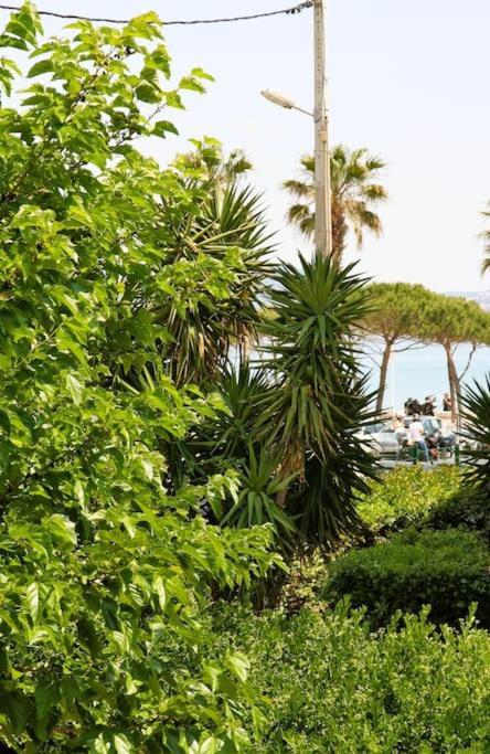 Blue Summer Vibes Duplex Studio For 4P, Ac, Sea View, Parking, Beach At 50M, Spa Access -3 La Ciotat Bagian luar foto